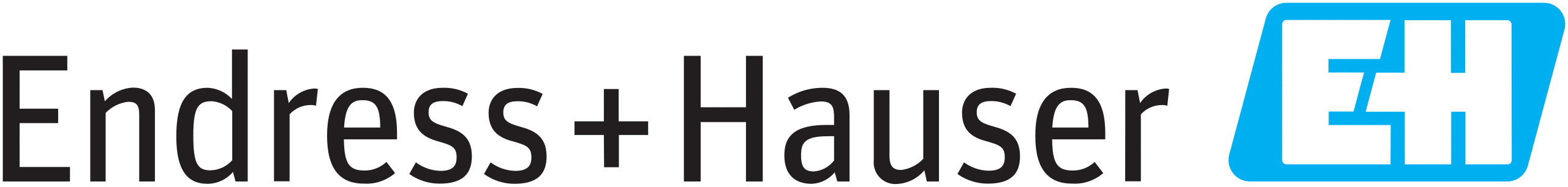 Endress+Hauser Logo