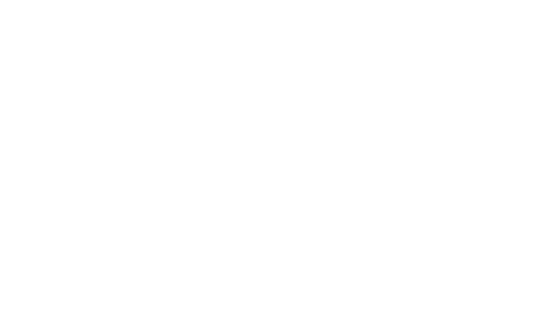 Workforce Experience Council